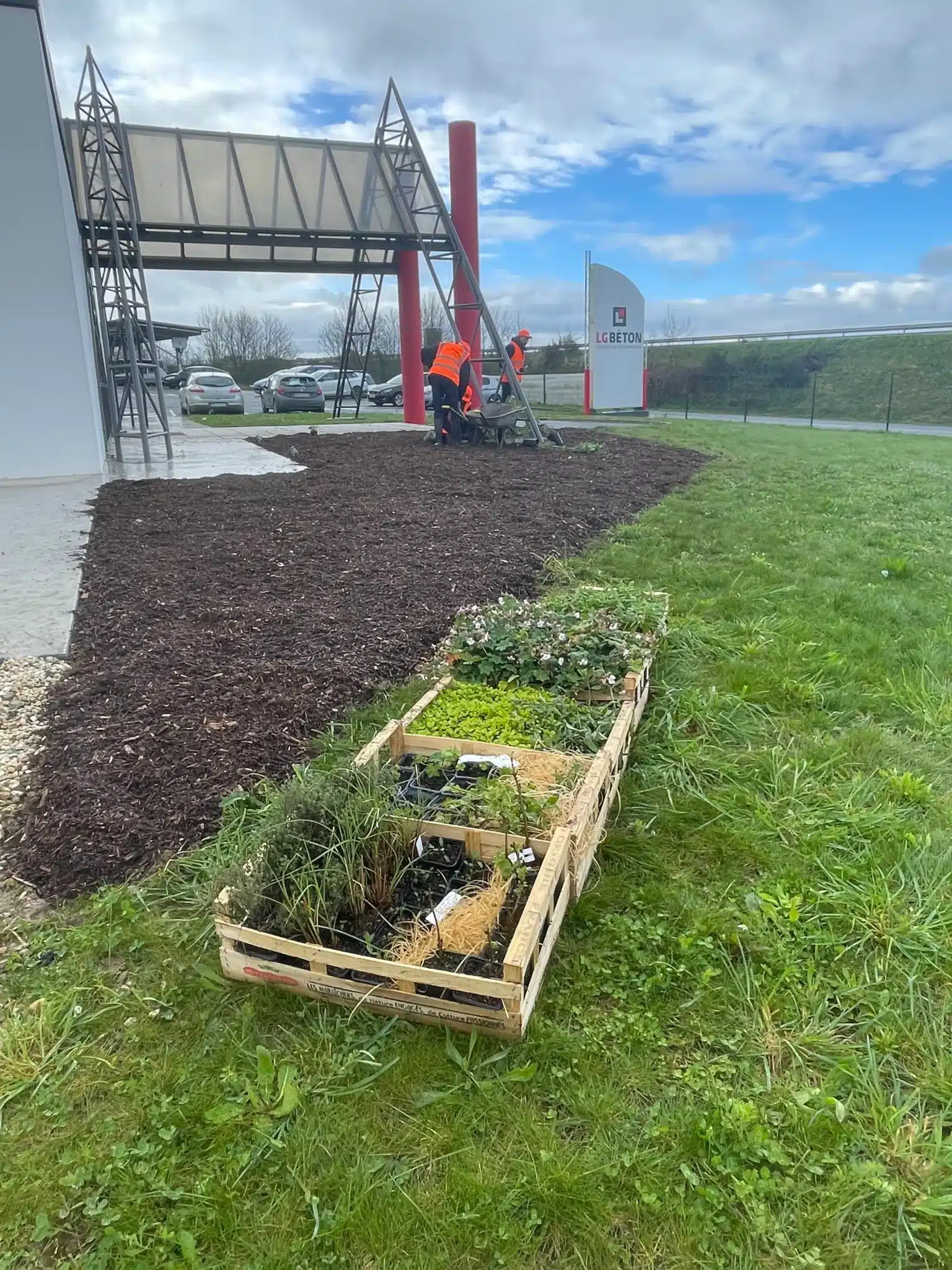 Plantage d'arbre chez LG